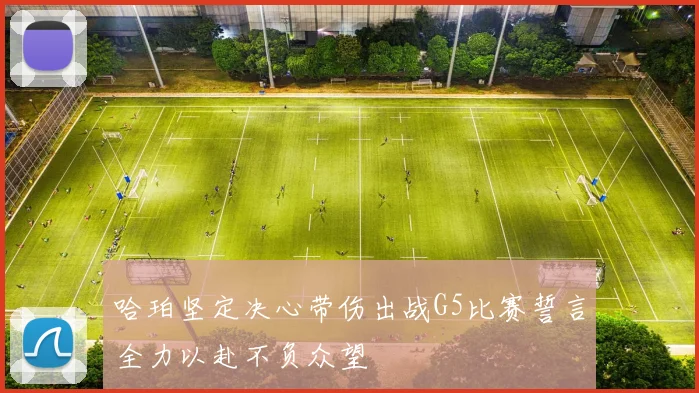 哈珀坚定决心带伤出战G5比赛誓言全力以赴不负众望